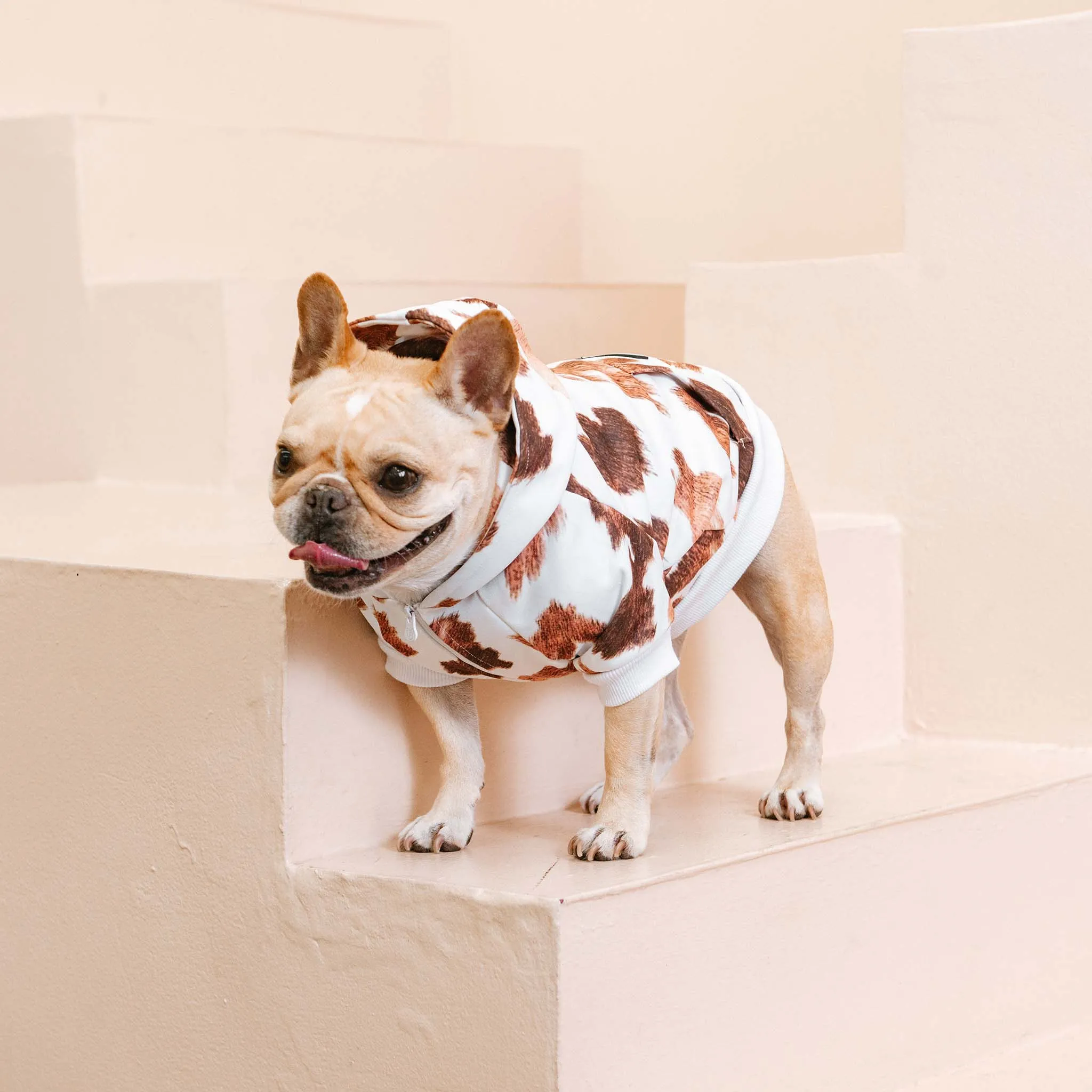 Frenchie Dog Hoodie - Moo