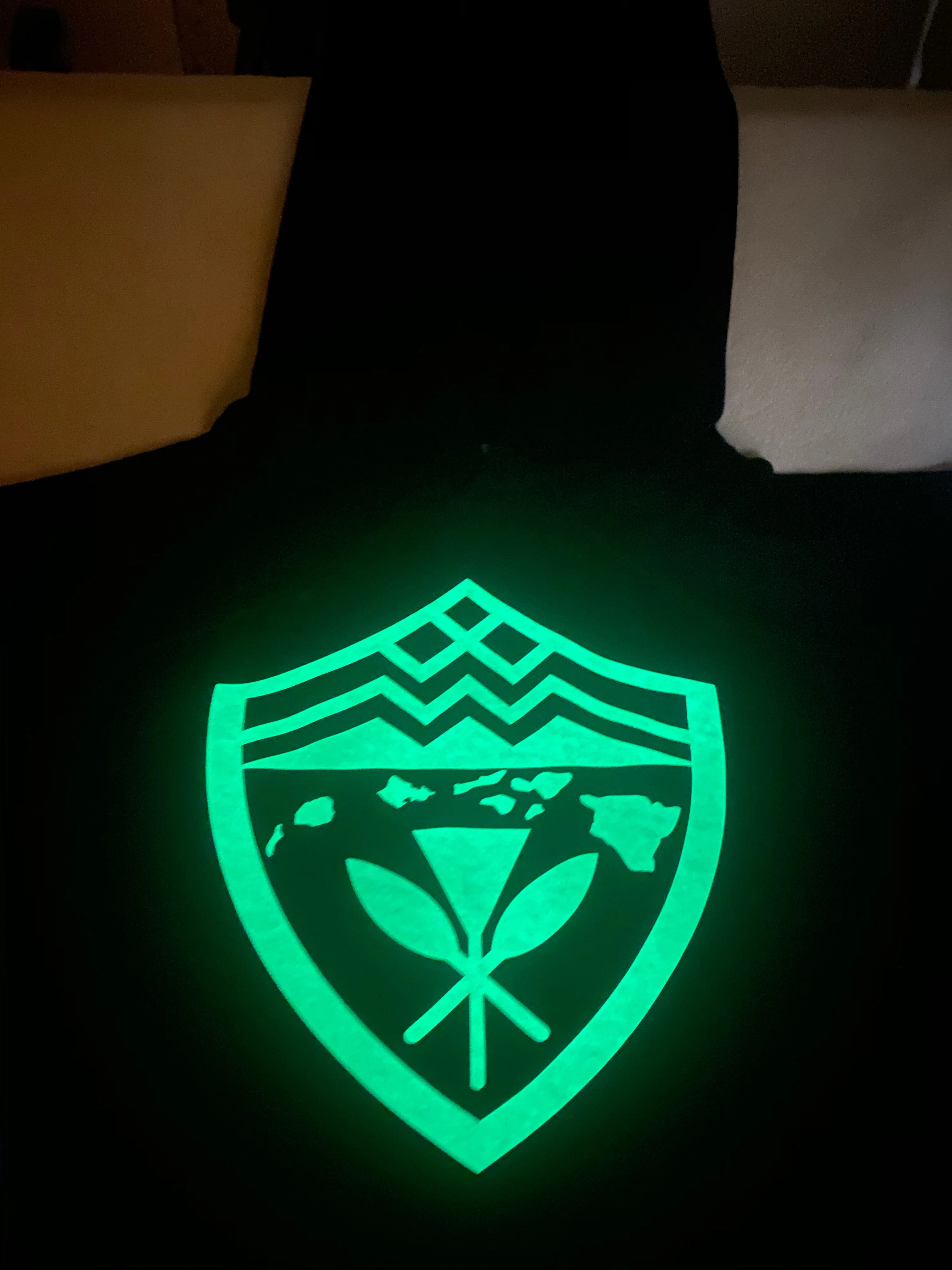 Hawaii Shield Glow Hoodies Glow in the Dark